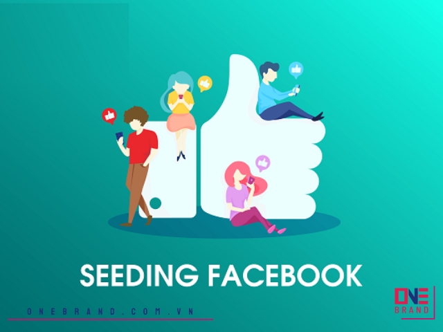 Lợi ích của dịch vụ seeding group Facebook